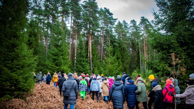 Pa mežu staigā cilvēki
