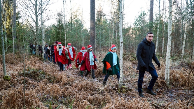 Izraugās Ziemassvētku egli