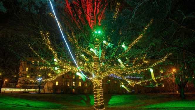 Parks Sarkandaugavā