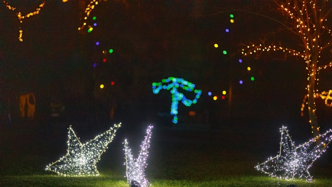 Parks Sarkandaugavā