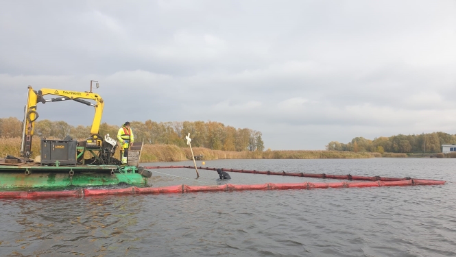 Ūdens līdējs nirst ūdenī