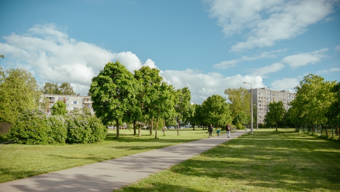 Laukums Višķu ielā