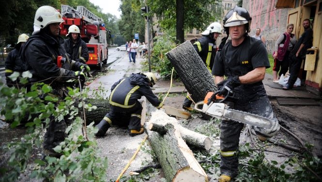 Ugunsdzēsēji atbrīvo brauktuvi no nolauztiem kokiem