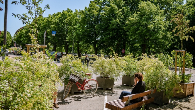 Ziedu stādi un soliņš
