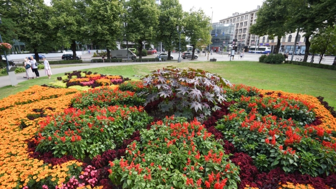 Puķu dobe pilsētas parkā