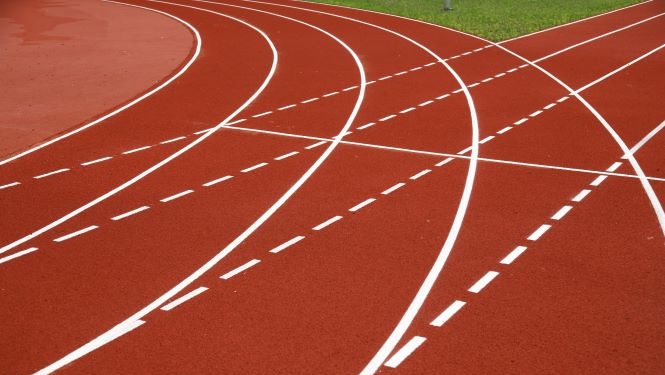 Stadiona skrejceliņa attēls