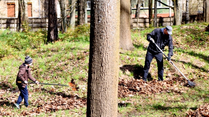 Cilvēki grābj lapas