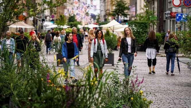 Tērbatas iela gājējiem