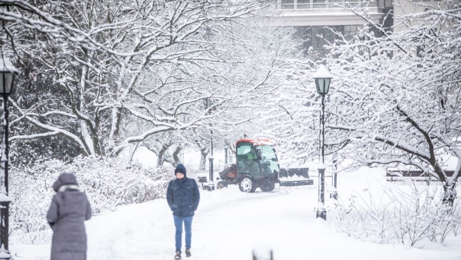 Traktors tīra sniegu