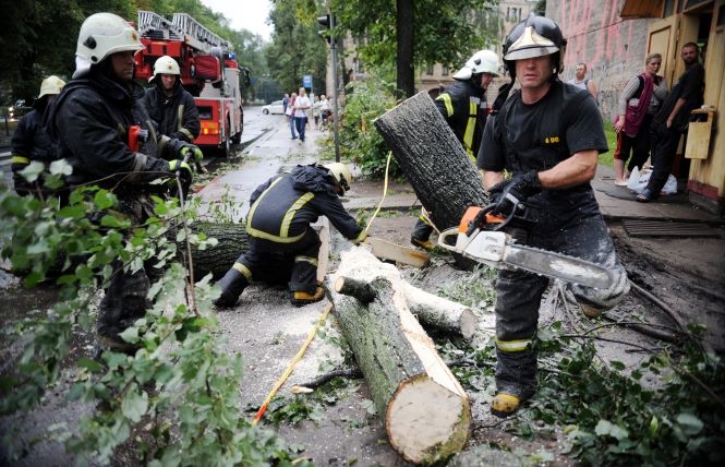 Ugunsdzēsēji atbrīvo brauktuvi no nolauztiem kokiem