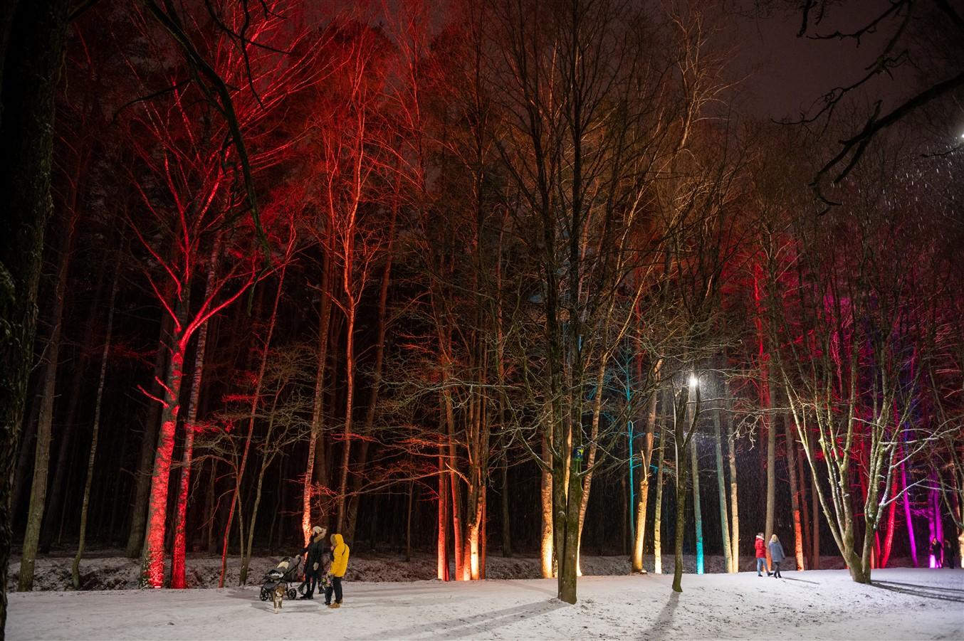 Gaismas pastaigu taka “Brīnumu meklējot”