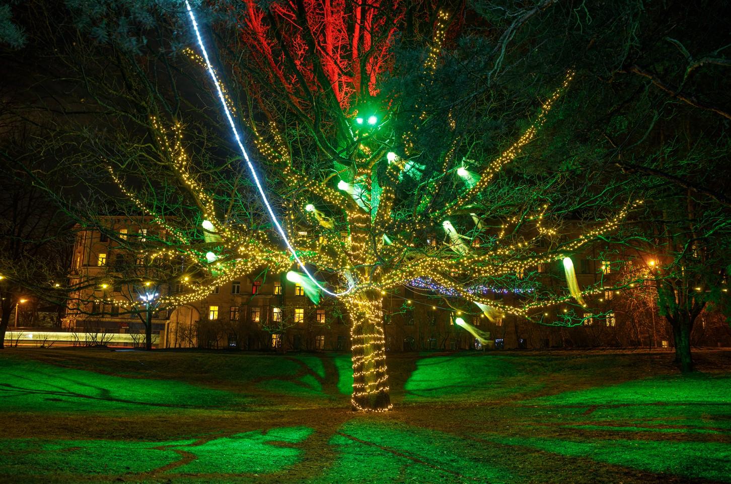 Parks Sarkandaugavā