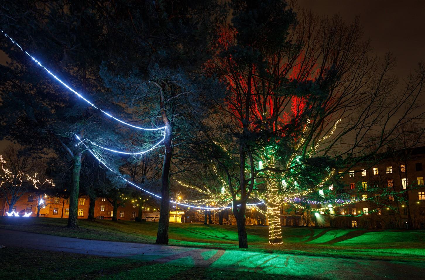 Parks Sarkandaugavā