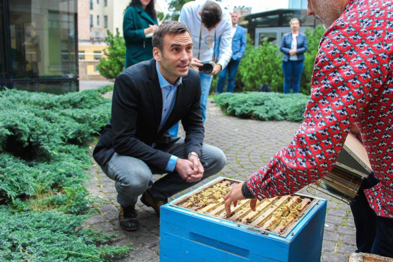 Urbānais biškopis Uģis Mālnieks iepazīstina Rīgas domes priekšsēdētāju Mārtiņu Staķi ar bišu stropu ieziemošanas procesu