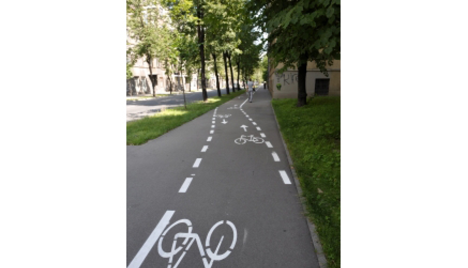 Veloceliņš