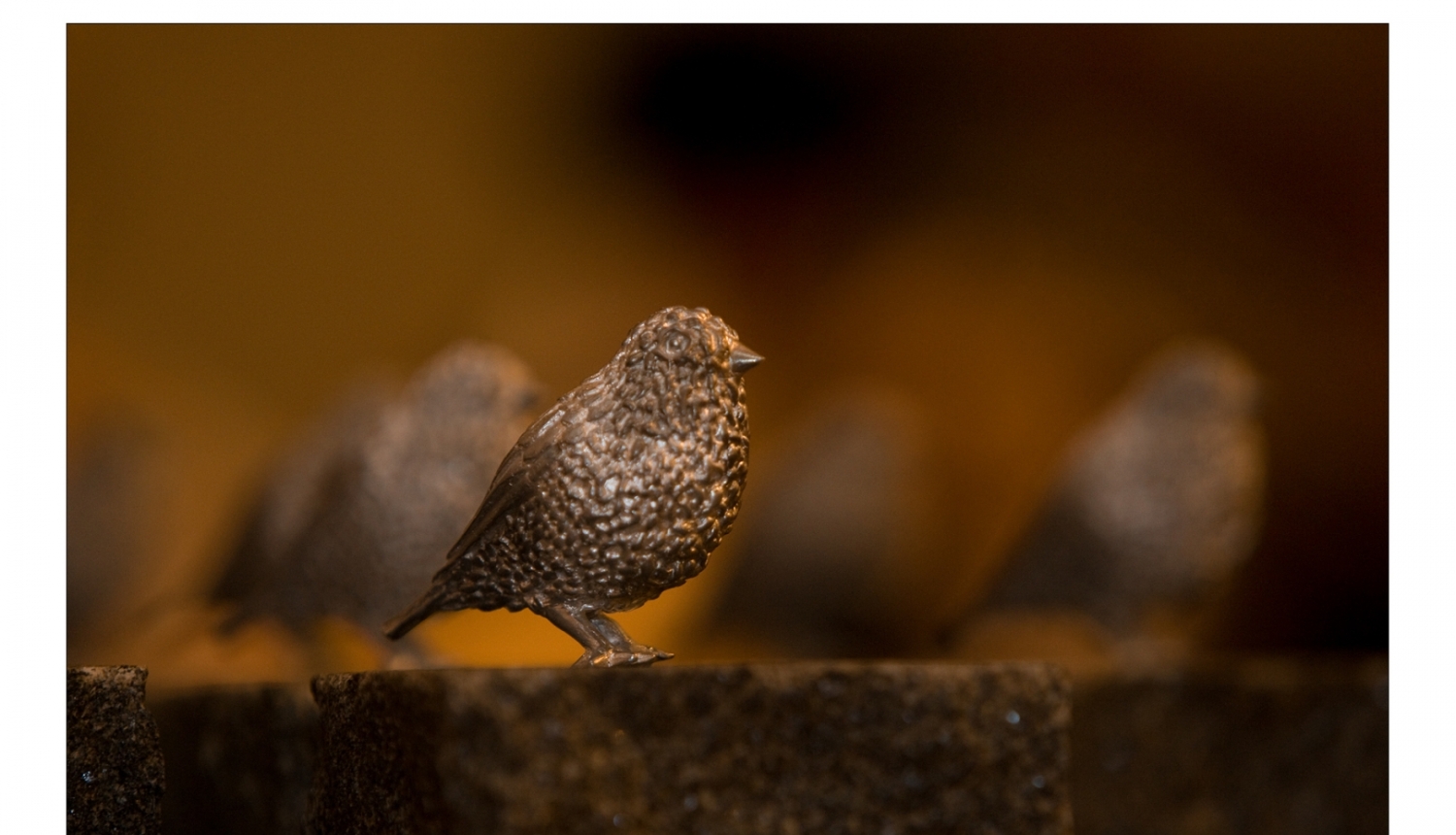 Balva Baltais zvirbulis