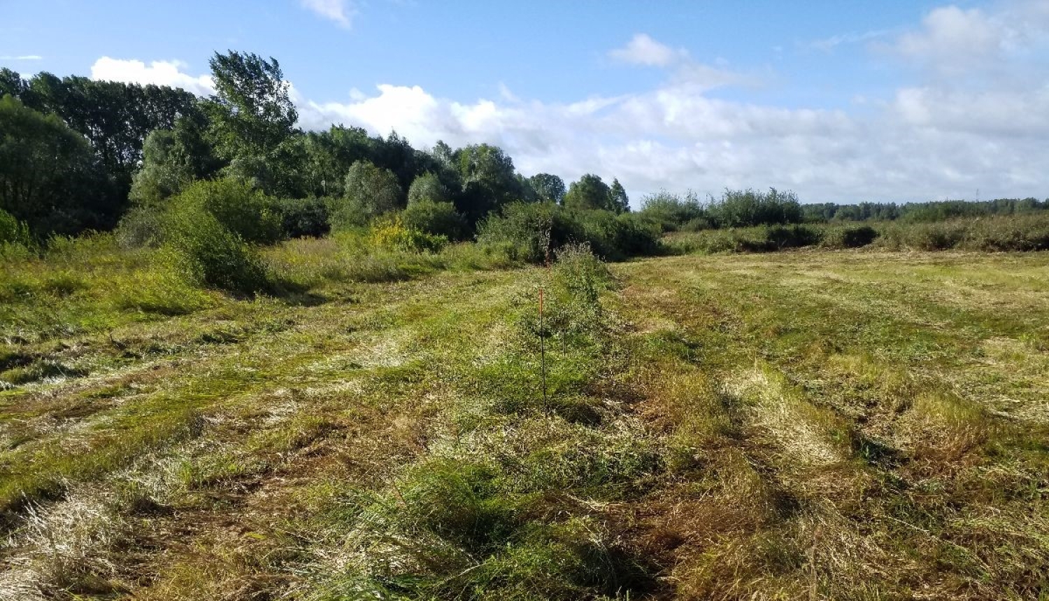 Dabas liegums "Daugavgrīva"