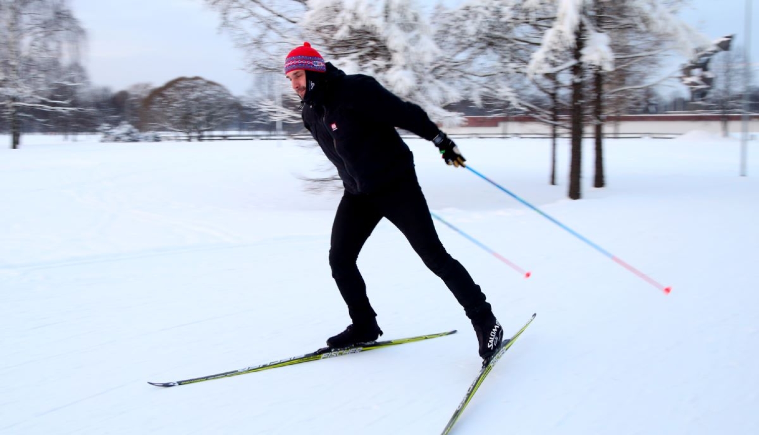 Disatnču slēpotājs