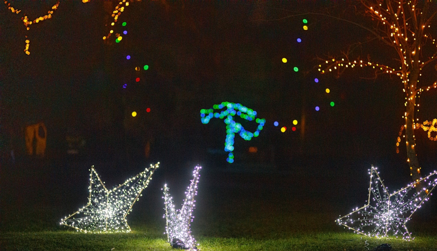 Parks Sarkandaugavā