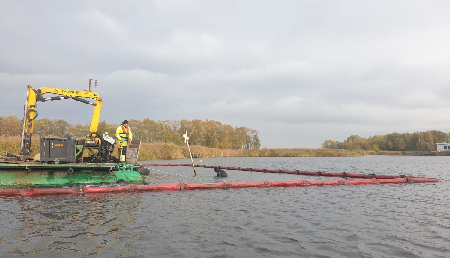 Ūdens līdējs nirst ūdenī