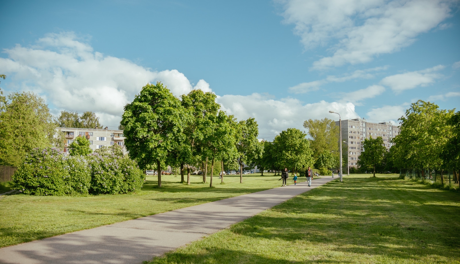 Laukums Višķu ielā