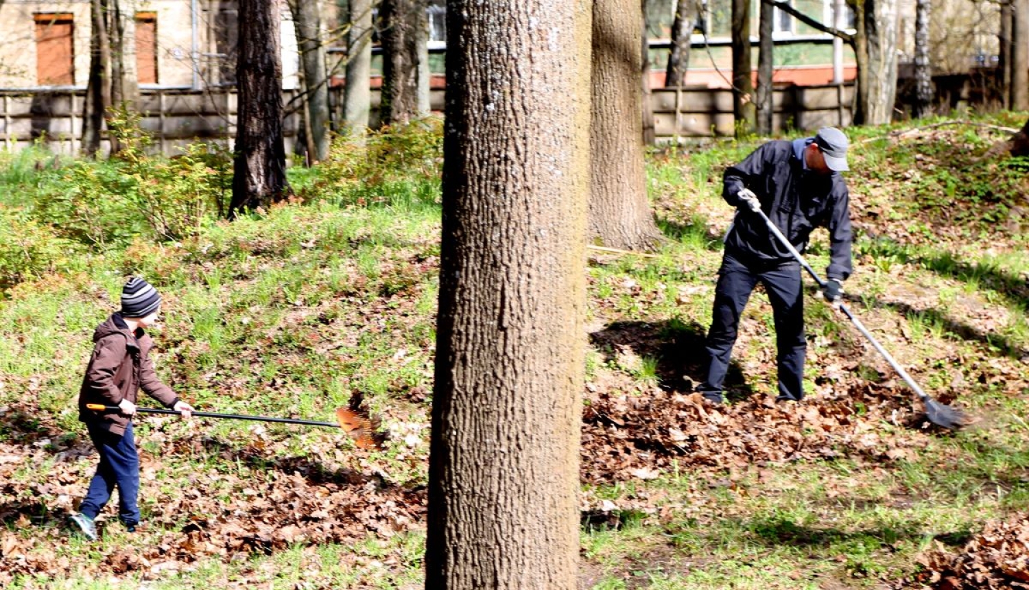 Cilvēki grābj lapas