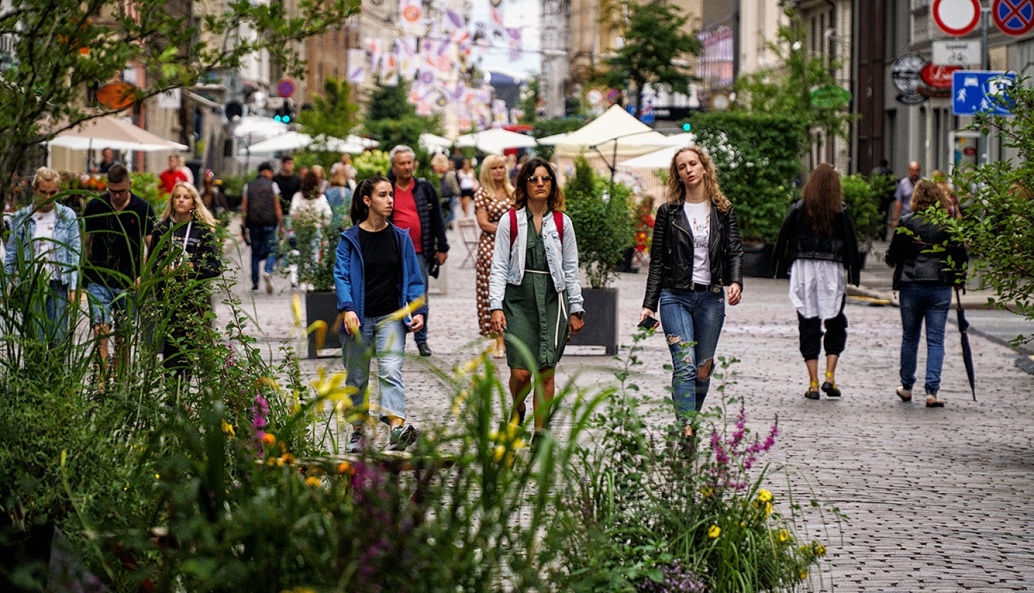 Tērbatas iela gājējiem