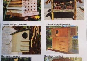 Ekoloģiskā oāze Purvciemā