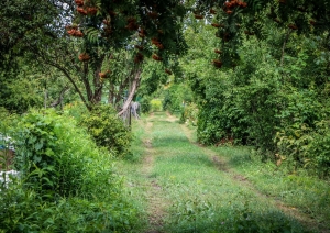 Rīgas domes amatpersonas un apkaimes biedrību pārstāvji kopīgā darba sanāksmē iepazinās ar Lucavsalas mazdārziņu teritoriju