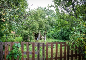 Rīgas domes amatpersonas un apkaimes biedrību pārstāvji kopīgā darba sanāksmē iepazinās ar Lucavsalas mazdārziņu teritoriju