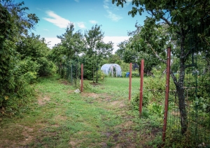 Rīgas domes amatpersonas un apkaimes biedrību pārstāvji kopīgā darba sanāksmē iepazinās ar Lucavsalas mazdārziņu teritoriju