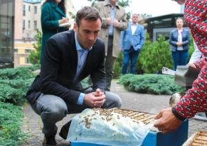 Urbānais biškopis Uģis Mālnieks iepazīstina Rīgas domes priekšsēdētāju Mārtiņu Staķi ar bišu stropu ieziemošanas procesu