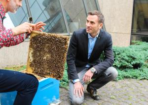 Urbānais biškopis Uģis Mālnieks iepazīstina Rīgas domes priekšsēdētāju Mārtiņu Staķi ar bišu stropu ieziemošanas procesu