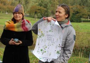 Uzvaras parkā iesēts pirmais kvadrātmetrs urbānās pļavas 