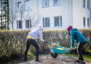 Labiekārto Rīgas pašvaldības Bērnu un jauniešu centra teritoriju