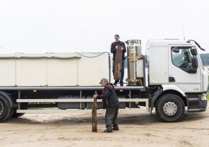 Zandartu mazuļu ielaišana Juglas ezerā