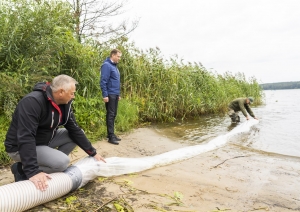 Zandartu mazuļu ielaišana Juglas ezerā