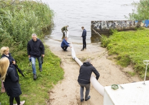 Zandartu mazuļu ielaišana Juglas ezerā