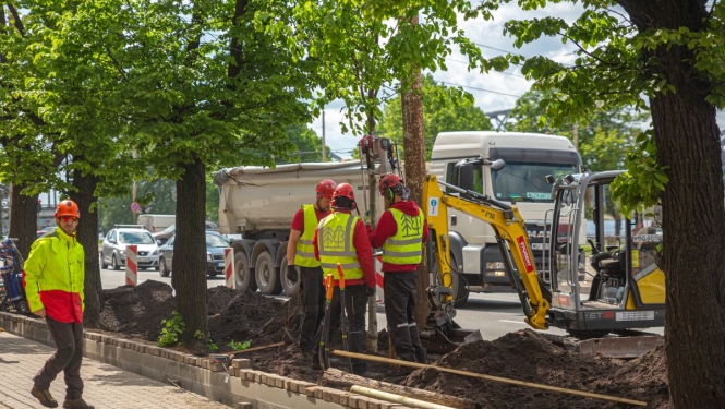 Saglabā kokus 11.Novembra krastmalā
