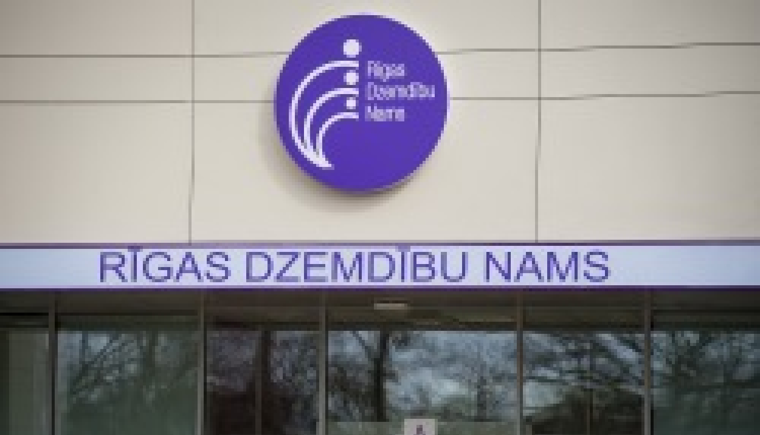 Rīgas dzemdību nams