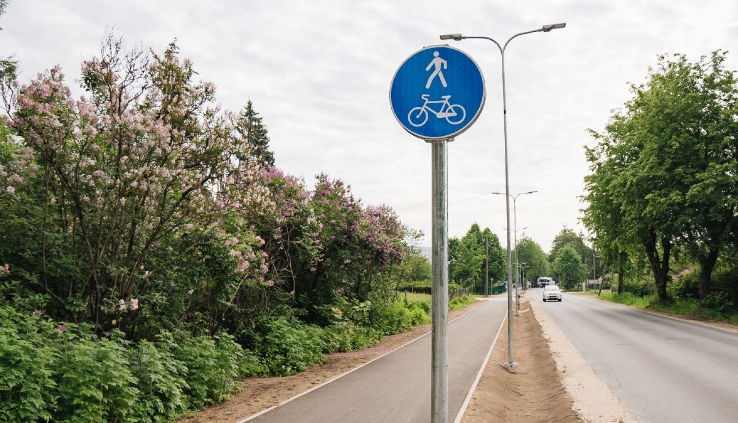 Veloceliņš Kurzemes prospektā