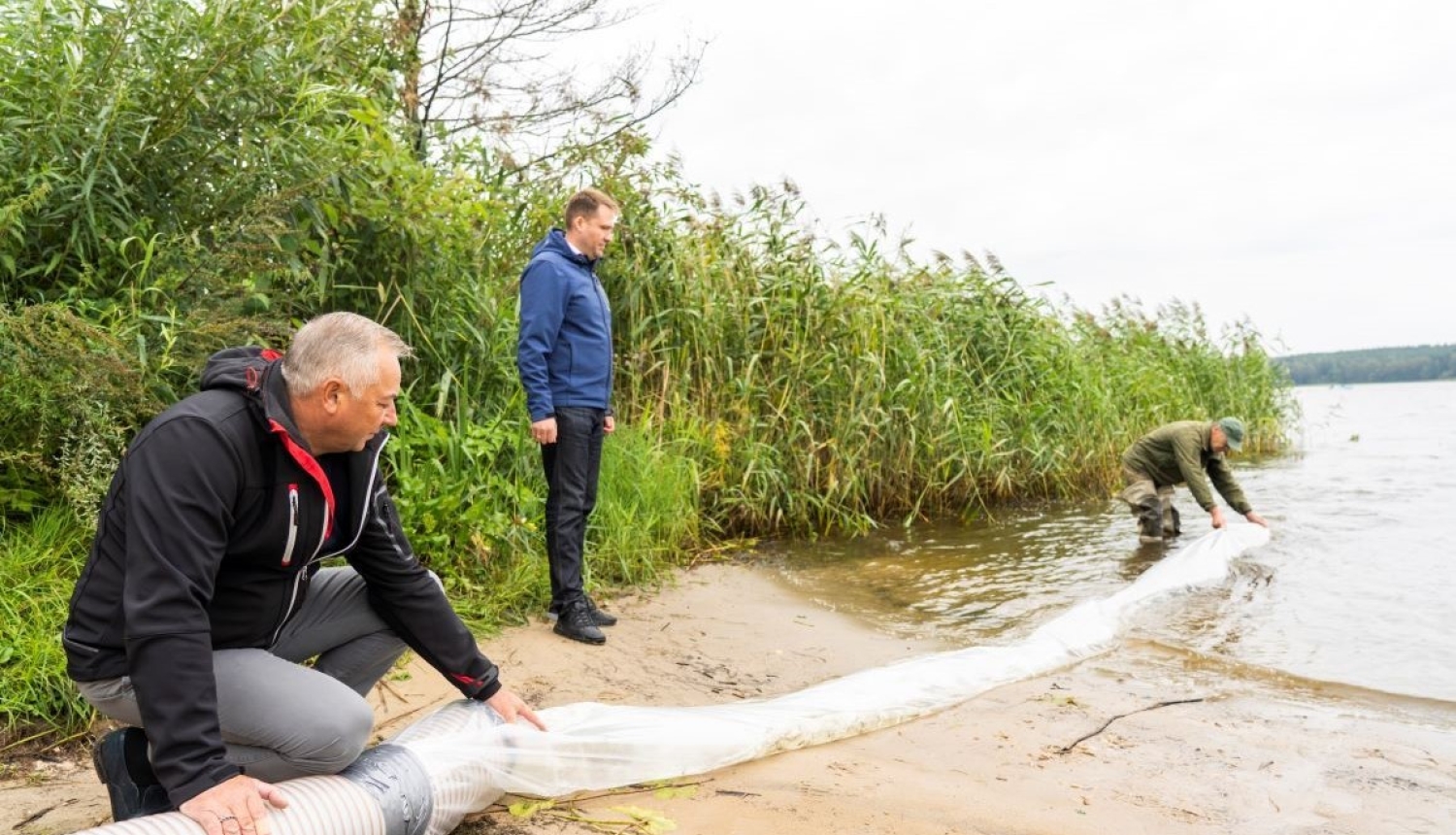 Zandartu mazuļu ielaišana Juglas ezerā